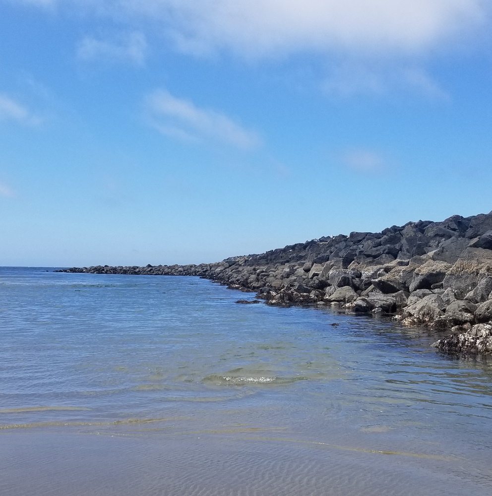 Meet your Posher, Carmen